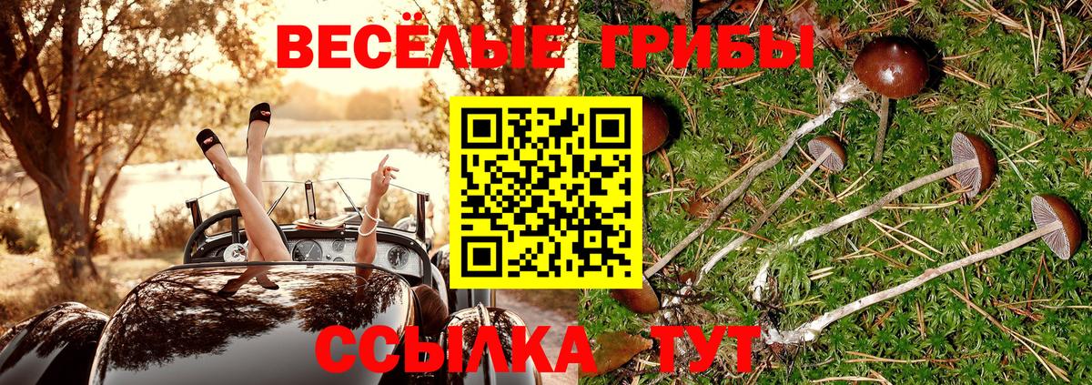 Галлюциногенные грибы ЛСД Хабаровск